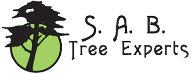 S.A.B. Tree Experts logo small