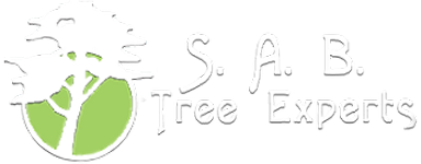 S.A.B. Tree Experts logo white small